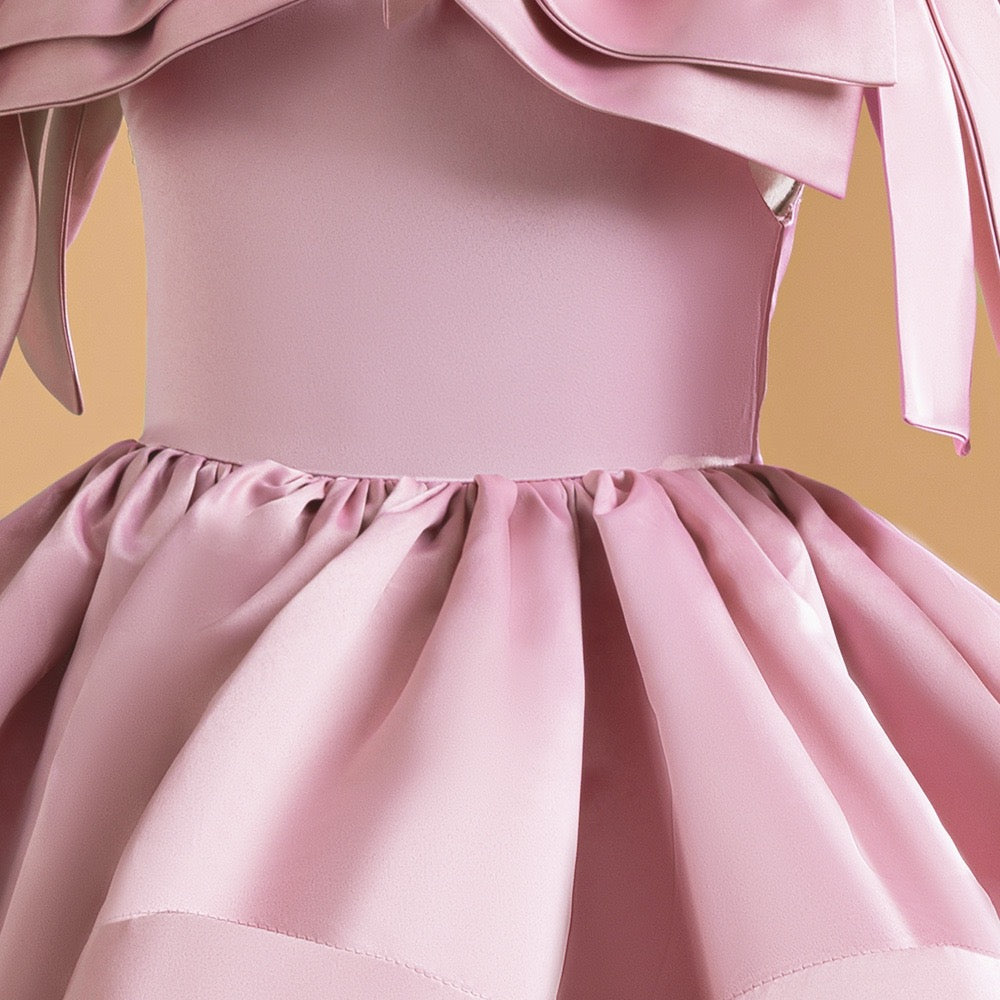 Girls birthday dress with Eloise Petal Dress for dressy family gatherings