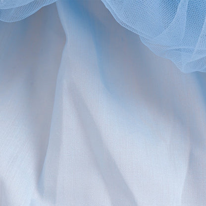 Eloise Petal Dress girls birthday dress for family photos and birthday portraits