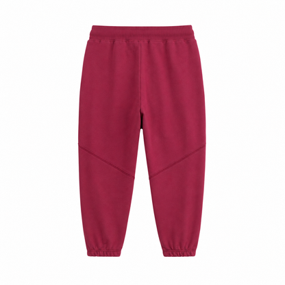 Back flat lay of the burgundy kids jogger pants with elastic waistband and cuffs.