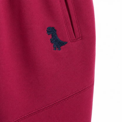 Close-up of the small dinosaur embroidery and side pocket on the burgundy kids pants.